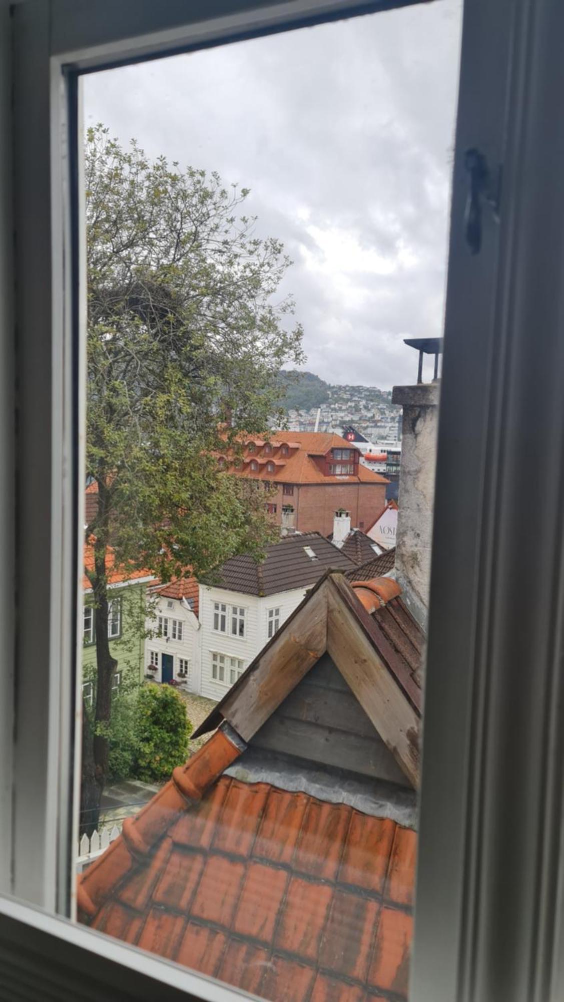 Amunds Apartment Bergen Exterior foto